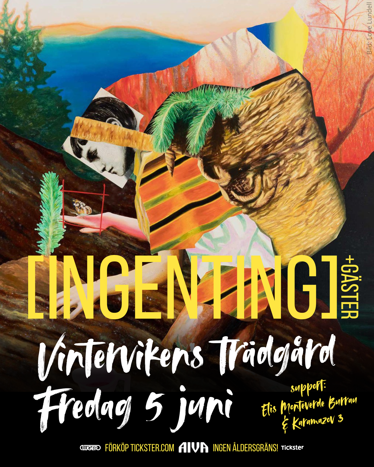 > LIVE: Vintervikens trädgård